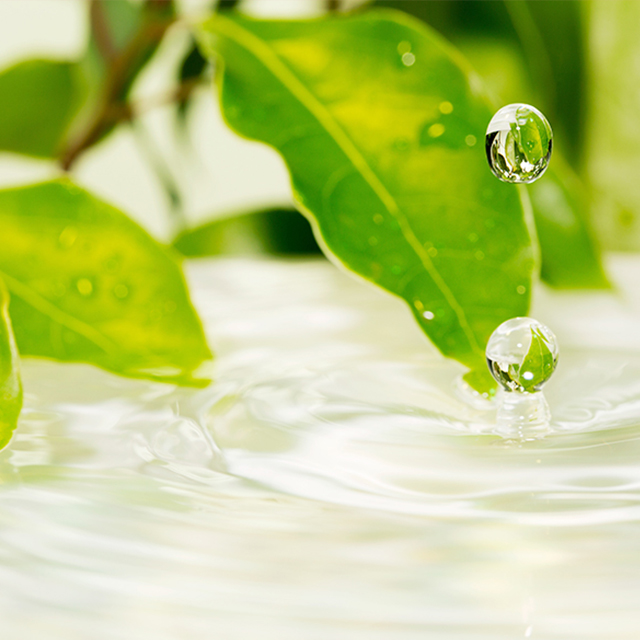 SAKURA BBLabo-ビービーラボ-の配合成分イメージ